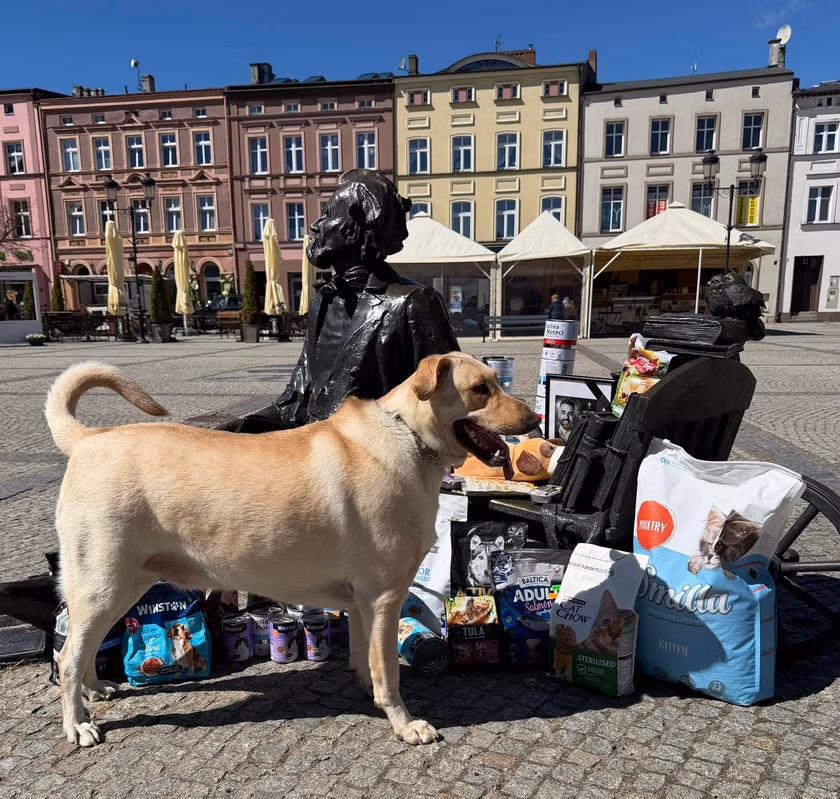 В память о погибшем депутате Лукаше Литевке на Поморье жители организовали сбор корма для животных. Во время акции мужчина попытался его украсть