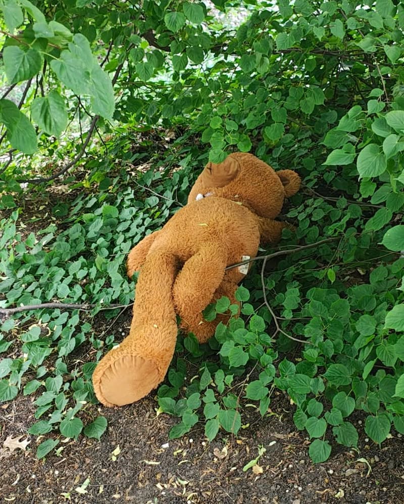Экологический патруль в Гданьске поймал самого безобидного зверя
