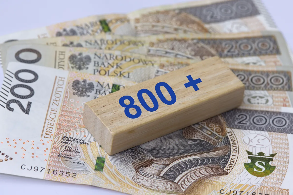 В Польше объяснили, когда возобновят выплаты 800+ иностранцам. Что делать, если пособие остановили