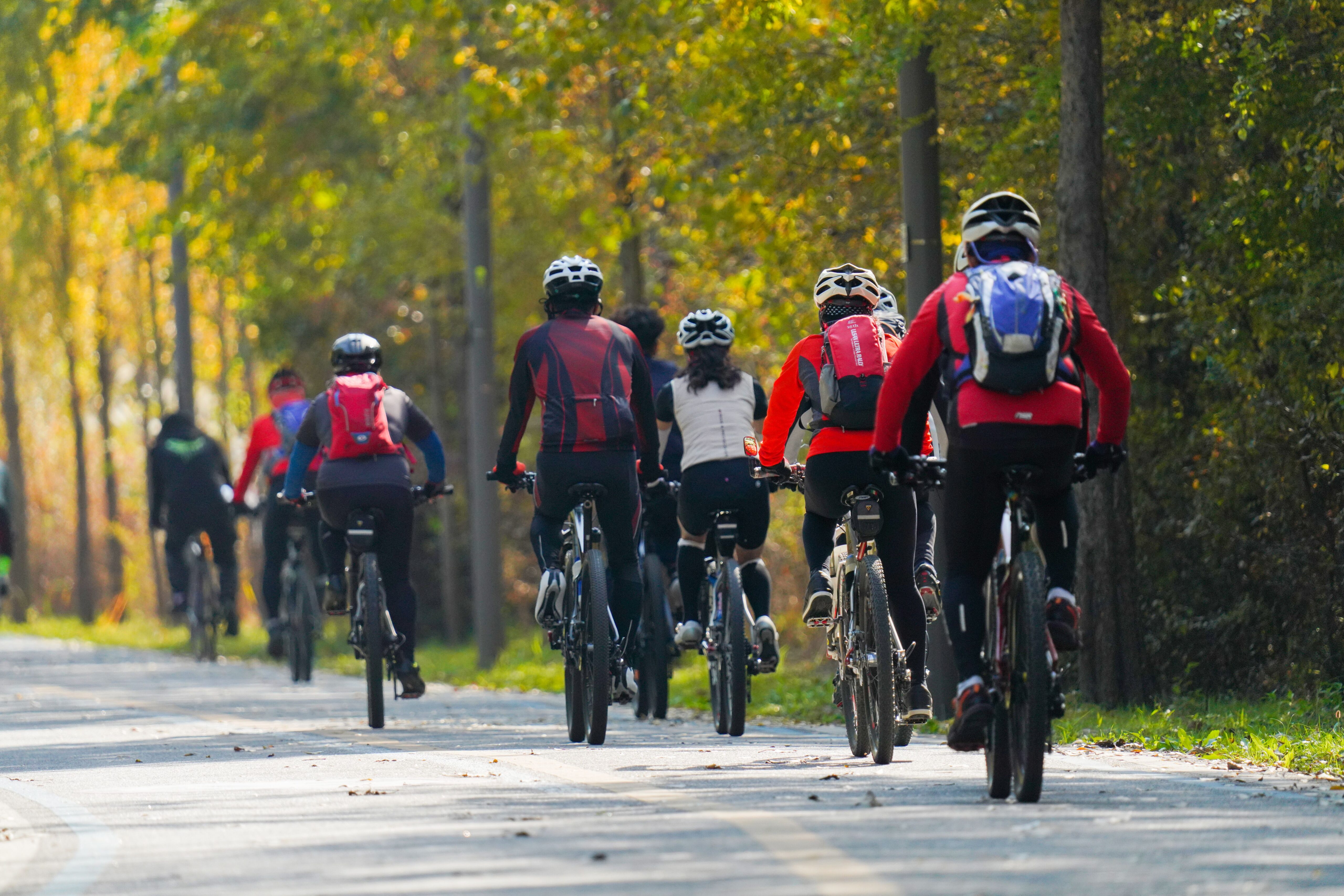 In Gdańsk, a campaign for cyclists has started: points and prizes for trips to work and school
