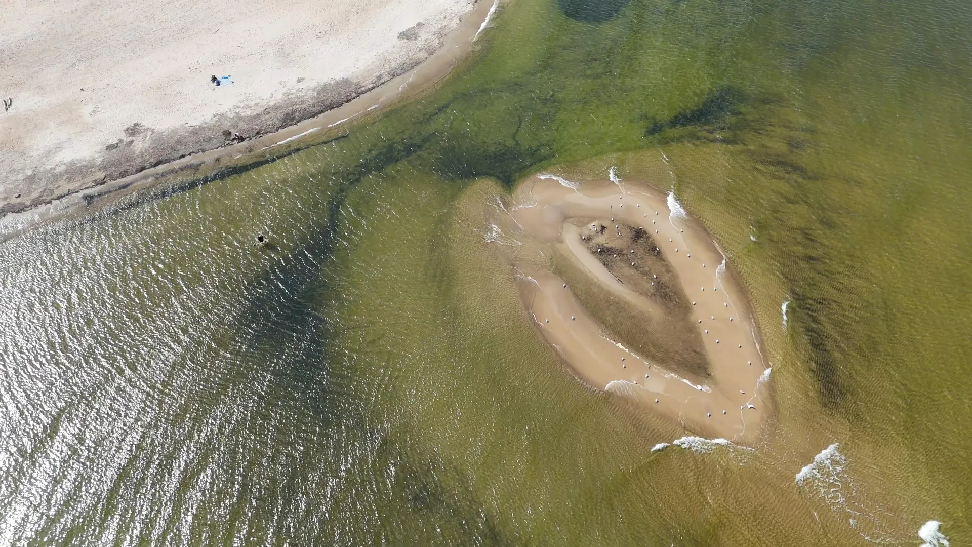 У Балтыйскім моры з'явіўся незвычайны востраў: турысты спрачаюцца, на што ён падобны