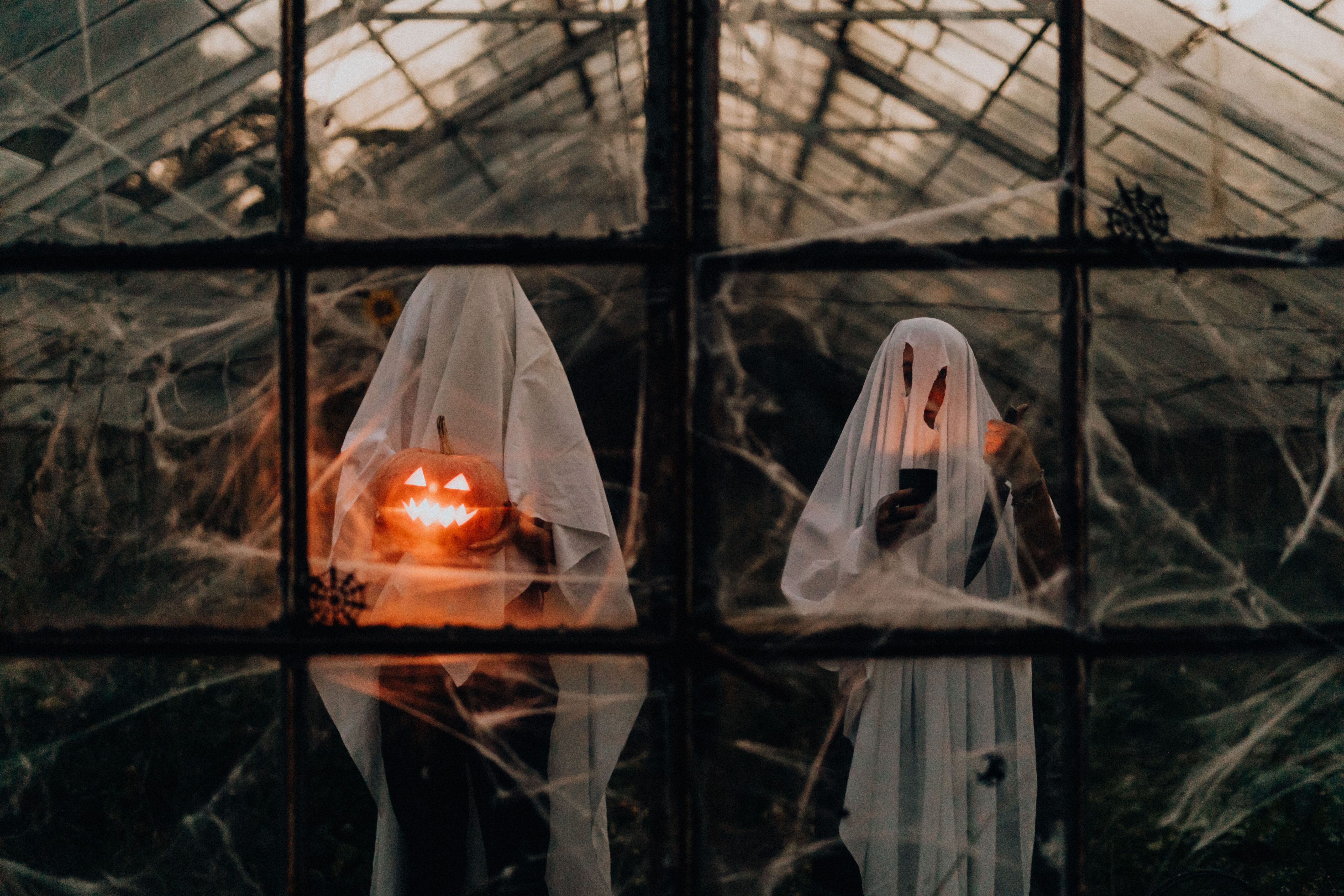 Куда сходить в Труймясте 30 октября — 1 ноября: Halloween edition (и не только)
