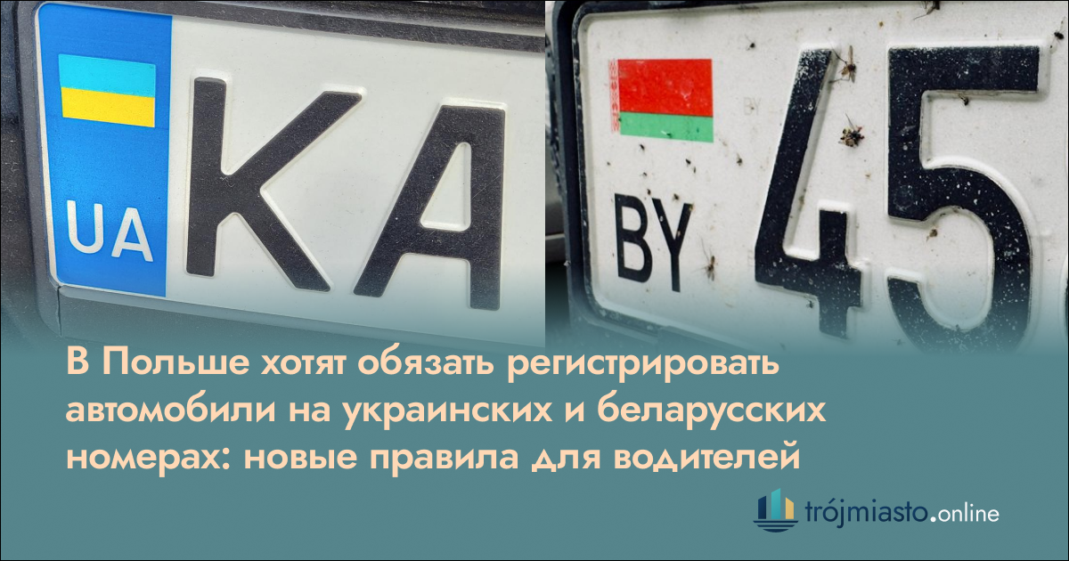 Украинские и беларусские номера в Польше — автомобили с иностранной регистрацией и новые требования к водителям.